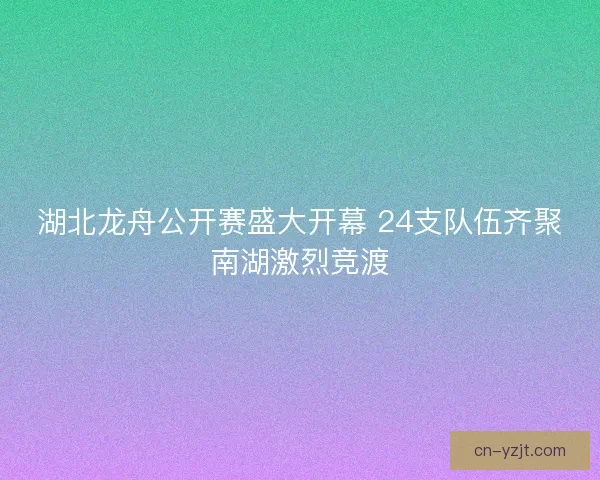 湖北龙舟公开赛盛大开幕 24支队伍齐聚南湖激烈竞渡